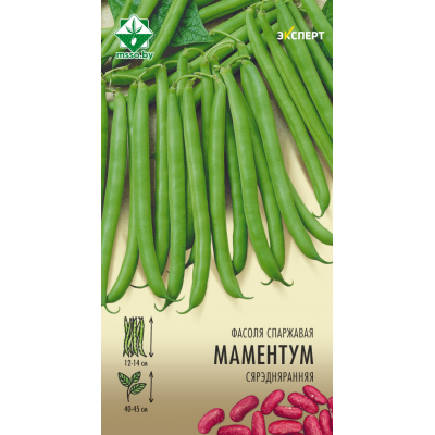 Фасоль спаржевая кустовая Моментум, 8г (серияя Эксперт - Syngenta, Франция)