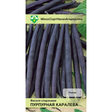 Фасоль спаржевая кустовая Пурпурная королева, 7г (Galassi Sementi , Италия) Фасоль спаржевая кустовая Пурпурная королева, 7г (Galassi Sementi , Италия)