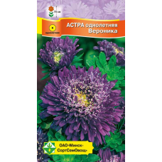 Астра срезочная Принцесса Вероника фиолетово-синяя 0,3г (Satimex, Германия) Астра срезочная Принцесса Вероника фиолетово-синяя 0,3г (Satimex, Германия)