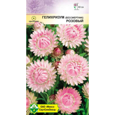 Семена гелихризума прицветкового Розовый 0.2г