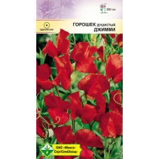 Семена горошка душистого Джимми 1г Семена горошка душистого Джимми 1г