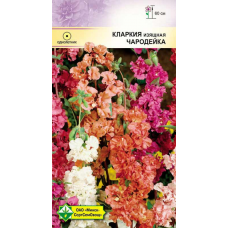 Семена кларкии изящной Чародейка см 0.3г