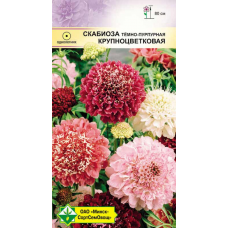 Семена скабиозы темно-пурпурной Крупноцветковая см 0.3г