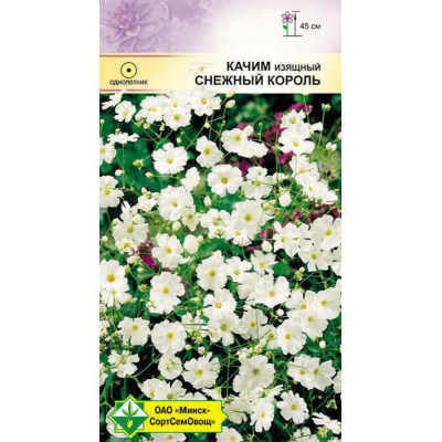 Семена Качим изящный Снежный король 0.3г