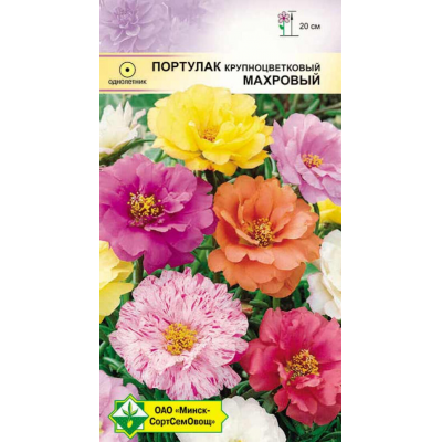 Портулак крупноцветковый Махровый, смесь 0,15г (Satimex, МССО)