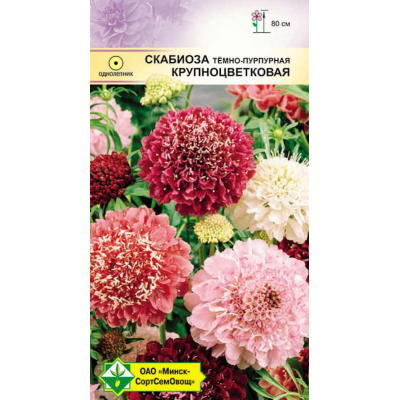 Семена Скабиоза темно-пурпурная Крупноцветковая см 0.5г