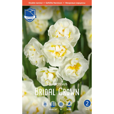 Семена Нарциссы Bridal Crown (Lefeber)