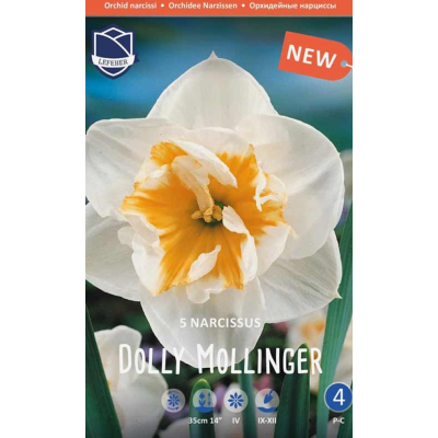 Семена Нарциссы Dolly Mollinger (Lefeber)