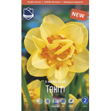 Семена Нарциссы Tahiti (Lefeber) Семена Нарциссы Tahiti (Lefeber)