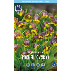Семена Фритиллярия michailovskyi (Lefeber) Семена Фритиллярия michailovskyi (Lefeber)