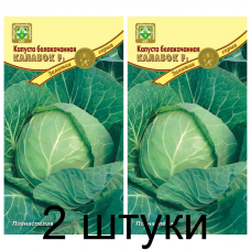 Семена. Капуста б/к Колобок F1 0.1г -2шт Семена. Капуста б/к Колобок F1 0.1г -2шт