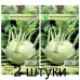 Капуста кольраби Гигант 0,5г (Satimex, Германия) -2шт
