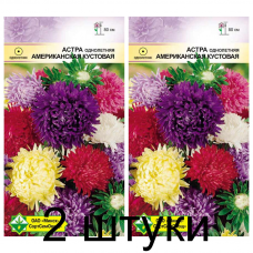 Семена. Астра Американская кустовая см 0.3г -2шт