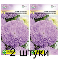 Семена. Астра Воздушный шар Серебристо-голубой 0.1г -2шт