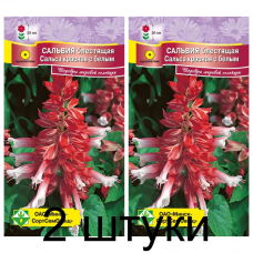 Семена. Сальвия блестящая Сальса красная с белым 10шт -2шт