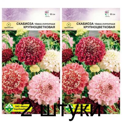 Семена. Скабиоза темно-пурпурная Крупноцветковая см 0.3г -2шт