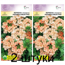 Семена. Вербена гибридная Абрикосовый рай 0.1г -2шт Семена. Вербена гибридная Абрикосовый рай 0.1г -2шт
