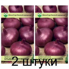 Семена. Лук Крывицки ружовы* 0.5г -2шт Семена. Лук Крывицки ружовы* 0.5г -2шт