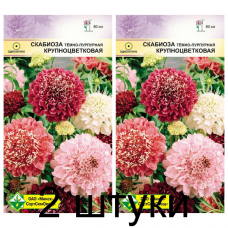 Семена. Скабиоза темно-пурпурная Крупноцветковая см 0.5г -2шт Семена. Скабиоза темно-пурпурная Крупноцветковая см 0.5г -2шт