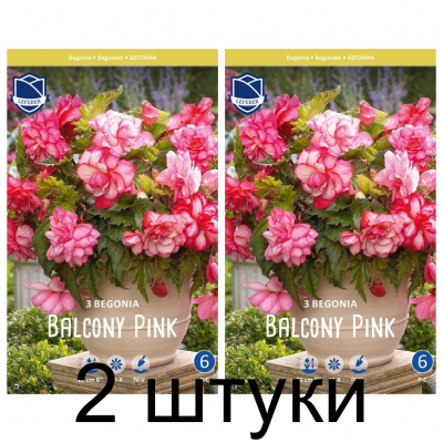 Семена. Бегония Balcony Pink (Lefeber) -2шт