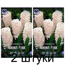Семена. Гиацинты China Pink (Lefeber) -2шт Семена. Гиацинты China Pink (Lefeber) -2шт