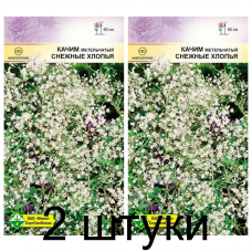 Семена. Качим метельч Снежные хлопья 0.2г -2шт