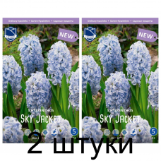 Семена. Гиацинты Sky Jacket (Lefeber) -2шт Семена. Гиацинты Sky Jacket (Lefeber) -2шт