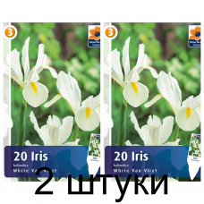 Семена. Ирис Hollandica White Van Vliet (R. De Ree) -2шт Семена. Ирис Hollandica White Van Vliet (R. De Ree) -2шт