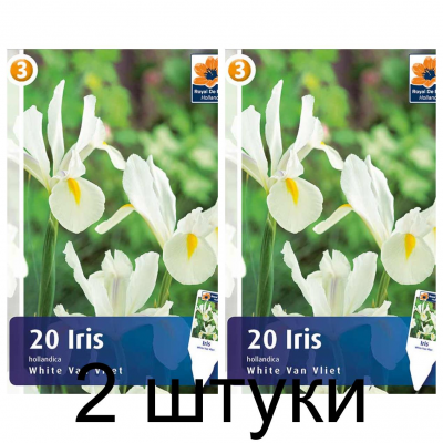 Семена. Ирис Hollandica White Van Vliet (R. De Ree) -2шт