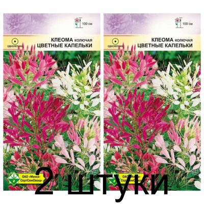 Семена. Клеома колючая Цветные капельки 0.3г -2шт