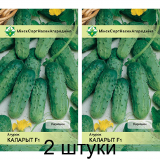 Огурец белорусской селекции Колорит F1 0,5г (Институт овощеводства НАН) -2шт