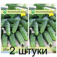 Семена. Огурец Цезарь F1 0.6г -2шт Семена. Огурец Цезарь F1 0.6г -2шт