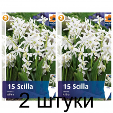 Семена. Сцилла siberica Alba (R. De Ree) -2шт Семена. Сцилла siberica Alba (R. De Ree) -2шт