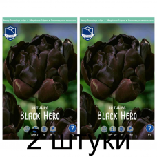 Семена. Тюльпаны Black Hero (Lefeber) -2шт
