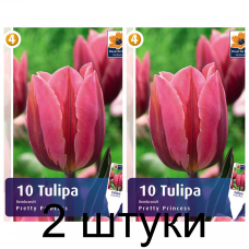 Семена. Тюльпаны Pretty Princess (R. De Ree) -2шт Семена. Тюльпаны Pretty Princess (R. De Ree) -2шт