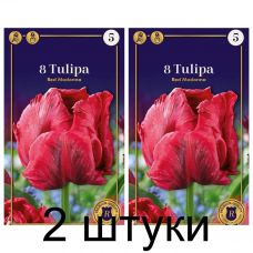 Семена. Тюльпаны Red Madonna (R. De Ree) -2шт Семена. Тюльпаны Red Madonna (R. De Ree) -2шт