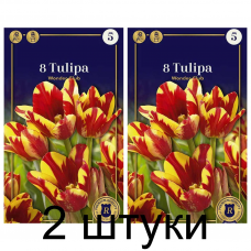 Семена. Тюльпаны Wonder Club (R. De Ree) -2шт Семена. Тюльпаны Wonder Club (R. De Ree) -2шт