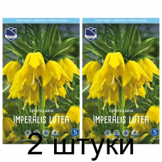 Семена. Фритиллярия imperalis Lutea (Lefeber) -2шт