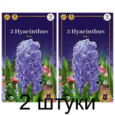 Семена. Гиацинты Aqua (R. De Ree) -2шт Семена. Гиацинты Aqua (R. De Ree) -2шт