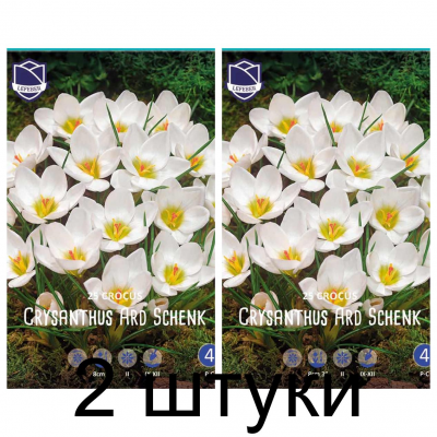 Семена. Крокусы chrysanthus Ard Schenk (Lefeber) -2шт
