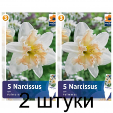 Семена. Нарциссы Palmares (R. De Ree) -2шт Семена. Нарциссы Palmares (R. De Ree) -2шт