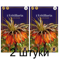 Семена. Фритиллярия imperialis Sunset (R. De Ree) -2шт Семена. Фритиллярия imperialis Sunset (R. De Ree) -2шт