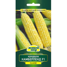 Семена Кукуруза Камберленд F1 (Clause) 15 шт, РБ