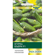 Семена Огурец Бъерн F1 (Enza Zaden) 5 шт, РБ Семена Огурец Бъерн F1 (Enza Zaden) 5 шт, РБ