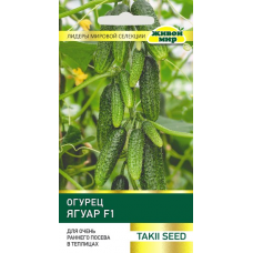 Семена Огурец Ягуар F1 (Takii seed) 5 шт, РБ Семена Огурец Ягуар F1 (Takii seed) 5 шт, РБ