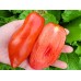 Томат Сан Марцано Гиганте 3, 0,2г (Sativa, Италия)