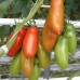 Томат Сан Марцано Гиганте 3, 0,2г (Sativa, Италия)