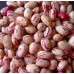 Фасоль Борлотто Лингуа ди Фуоко нано (карликовая кустовая), 10г (Sativa, Живой мир)
