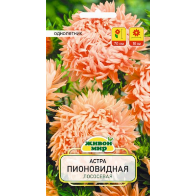Семена Астра Пионовидная лососевая (W. Legutko) 0,3 г, РБ