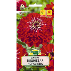 Семена Цинния Вишневая королева (W. Legutko) 1 г, РБ Семена Цинния Вишневая королева (W. Legutko) 1 г, РБ